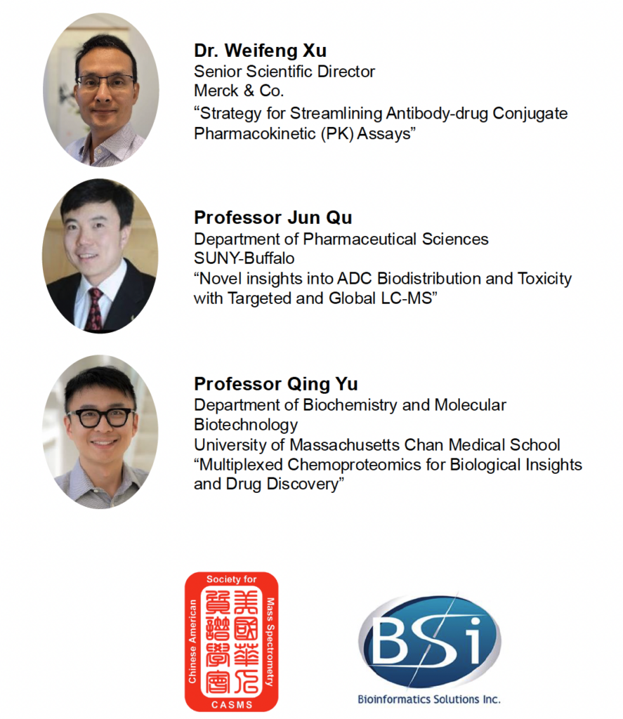bsi 2025 page1